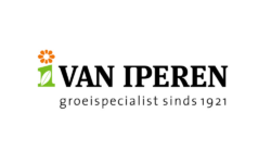 Van Iperen